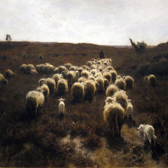 herder schapen anton mauve